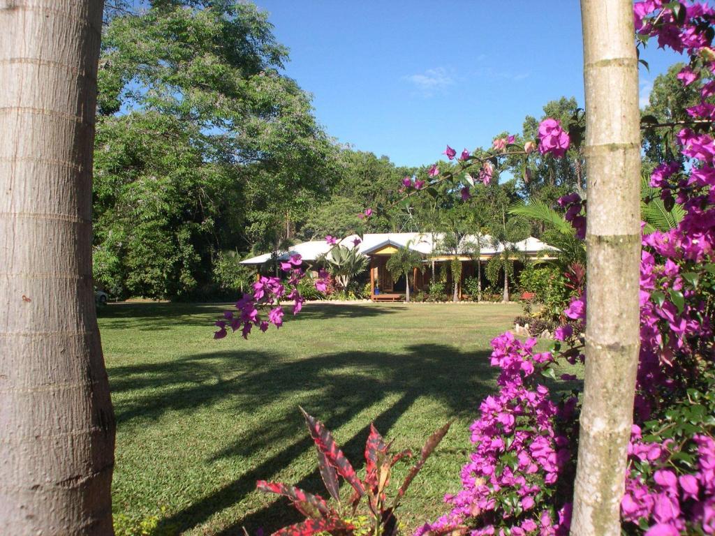 Hibiscus Lodge Bed & Breakfast Wongaling Beach Экстерьер фото
